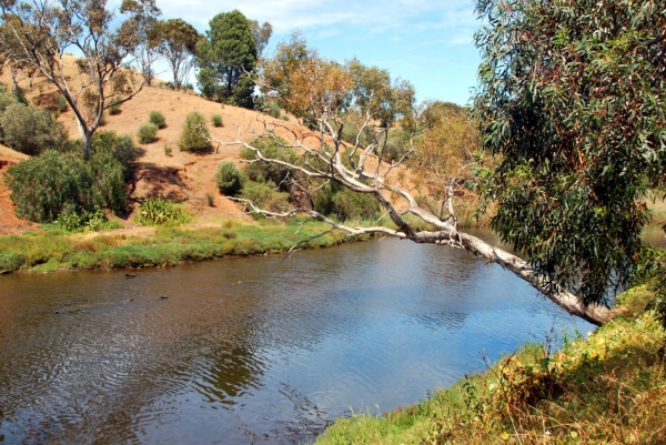 Zdjęcie z Australii - Onkaparinga River