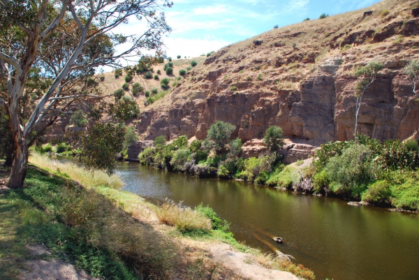 Zdjęcie z Australii - Onkaparinga River