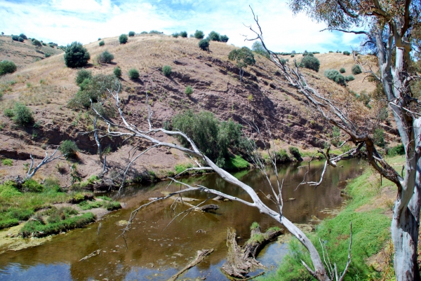 Zdjęcie z Australii - Onkaparinga River