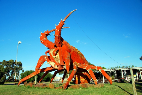 Zdjęcie z Australii - Giant Lobster