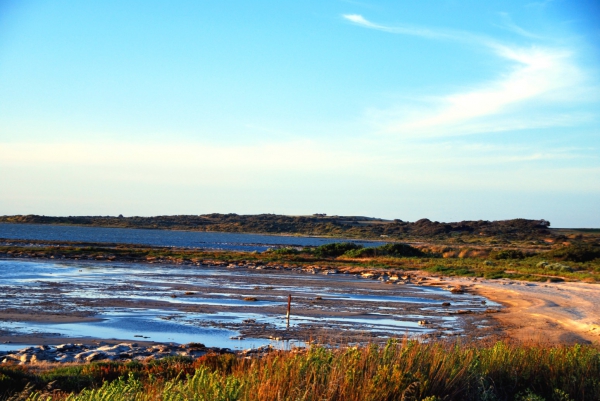 Zdjęcie z Australii - Brzegi laguny Coorong