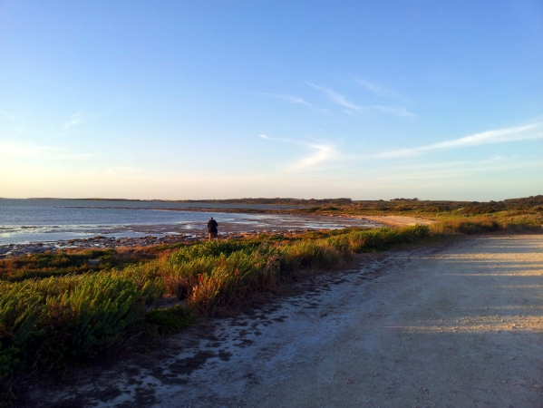 Zdjęcie z Australii - Brzegi laguny Coorong