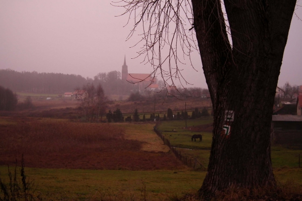 Zdjęcie z Polski - Brąswałd