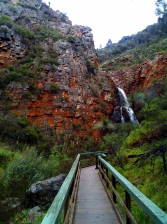 Zdjęcie z Australii - Morialta Falls