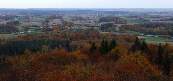 Zdjęcie z Polski - Panorama z Wieżycy