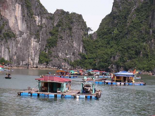 Zdjęcie z Wietnamu - wioska na wodzie, halong