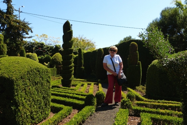 Zdjęcie z Portugalii - Ogród Botaniczny