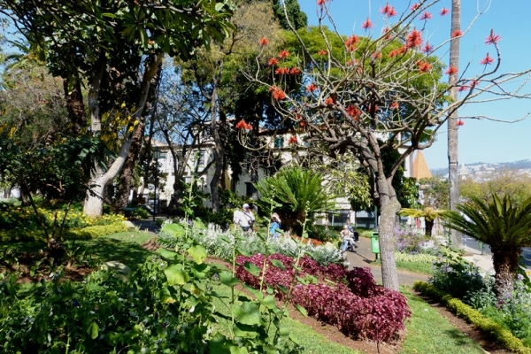 Zdjęcie z Portugalii - Jardin de Sao Laurenco