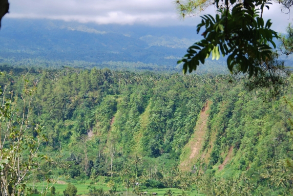 Zdjęcie z Indonezji - Balijskie widoki