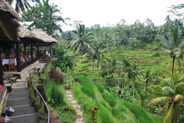 Zdjęcie z Indonezji - Restauracja z widokiem