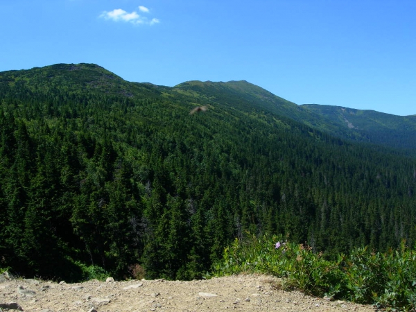 Zdjecie - Polska - Beskid Żywiecki