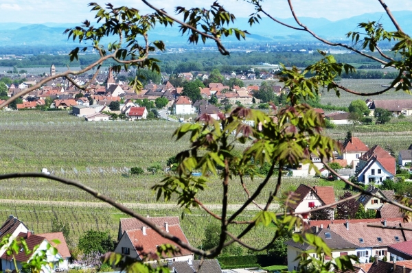 Zdjęcie z Francji - widoczki na Kaysererg