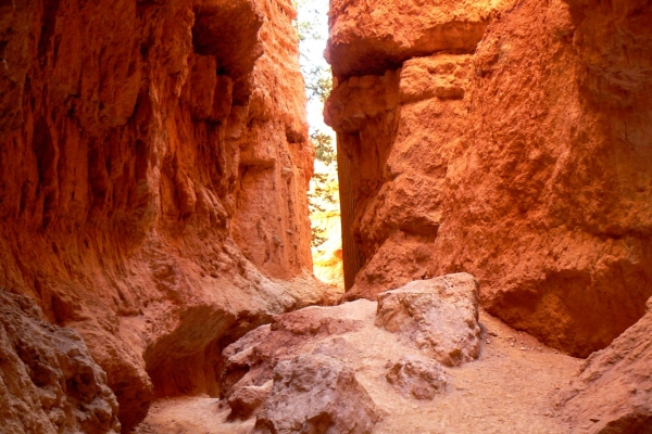 Zdjęcie ze Stanów Zjednoczonych - Bryce Canyon