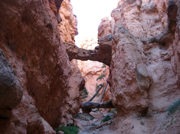 Zdjęcie ze Stanów Zjednoczonych - Bryce Canyon