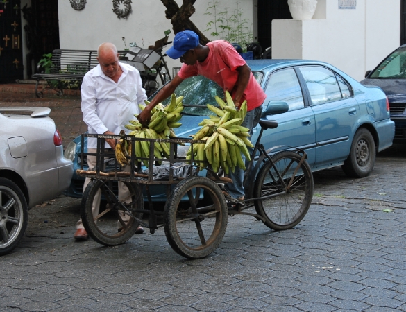 Zdjęcie z Dominikany - 