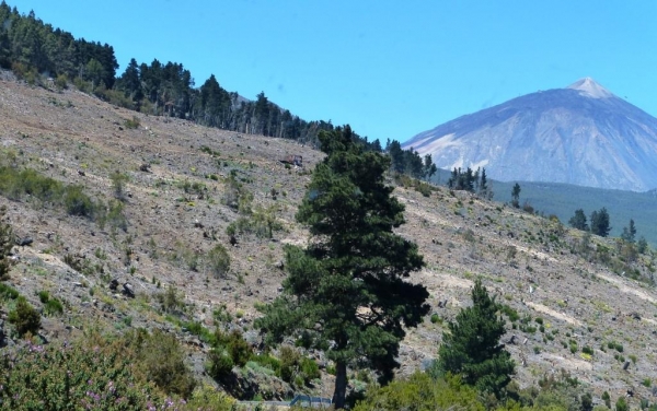 Zdjęcie z Hiszpanii - Las Canadas del Teide