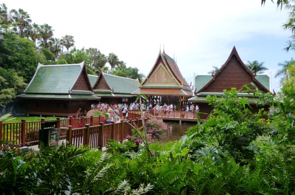 Zdjęcie z Hiszpanii - LORO PARK