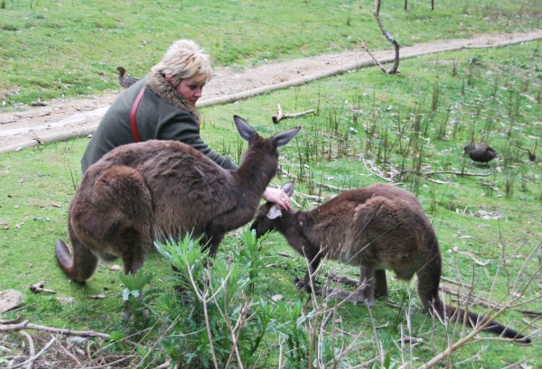 Zdjęcie z Australii - 