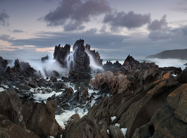 Zdjecie - Australia - Florieu Peninsula