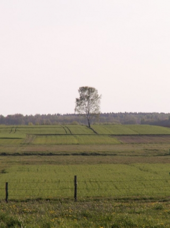 Zdjęcie z Polski - Podlasie... po prostu....