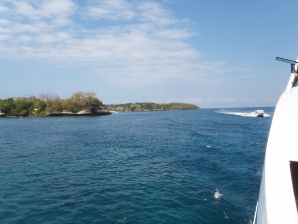 Zdjęcie z Indonezji - Brzegi Nusa Lembongan