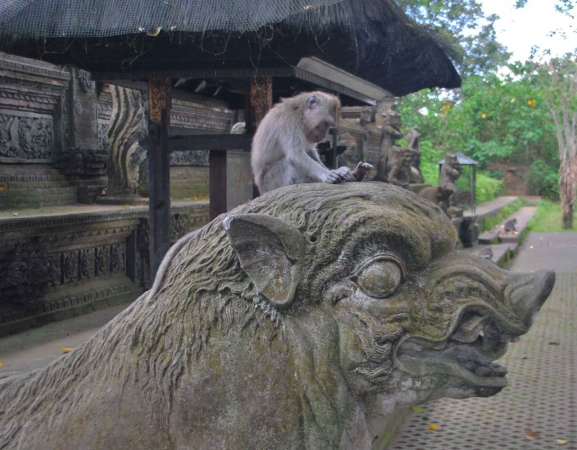 Zdjęcie z Indonezji - Pura Delem Agung