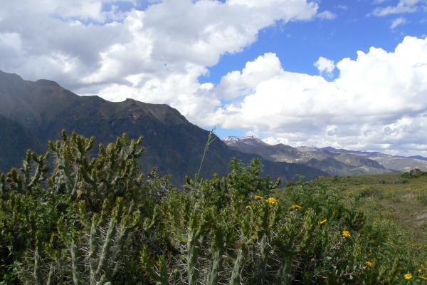 Zdjęcie z Peru - Kanion Colca