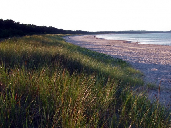 Zdjęcie z Niemiec - Wieczór na plaży.