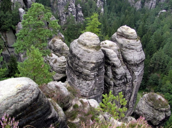 Zdjęcie z Niemiec - Pęczek maczug.