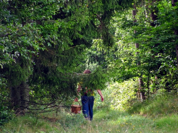 Zdjęcie z Polski - Szlak "Przełom Dębnicy".