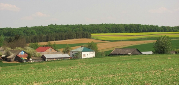 Zdjęcie z Polski - Wieś Hopkie.