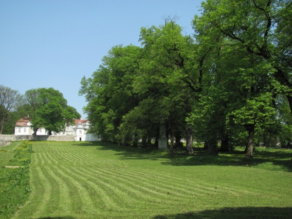 Zdjęcie z Polski - Pałac Łosiów w Narolu.