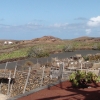 Zdjęcie z Hiszpanii - Ogród kaktusów Lanzarote