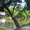 Zdjęcie z Kambodży - Siem Reap River