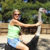 Zdjęcie z Republiki Półudniowej Afryki - Ostrich Show Farms Oudtshoorn