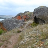 Zdjęcie z Australii - Granitowa Wyspa kolo Victor Harbor