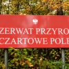 Zdjęcie z Polski - a tam - Czartowe Pole