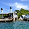 Zdjęcie z Vanuatu - Ofiary cyklonu