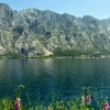 Zdjęcie z Czarnogóry - jedziemy do Kotoru podziwiając czarnogórskie wybrzeże Adriatyku