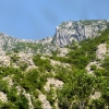 Zdjęcie z Czarnogóry - widoki widoki... nad Kotorem