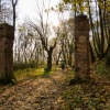 Zdjęcie z Polski - resztki oryginalnej bramy do majątku Szaniawskich 