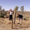 Zdjęcie ze Stanów Zjednoczonych - Joshua Tree NP