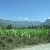 Zdjęcie z Etiopii - za oknem uprawy