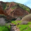 Zdjęcie z Australii - Cactus Canyon...ide korytem wyschnietego strumienia