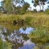 Zdjęcie z Australii - Dalej kolejny maly stawik - ty razem naturalny