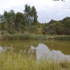 Zdjęcie z Australii - Rozlewiska strumienia Glenloth Creek