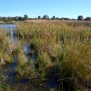 Zdjęcie z Australii - Docieram do rozlewisk Aldinga Wetlands