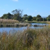 Zdjęcie z Australii - Rozlewiska Aldinga Wetlands