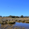 Zdjęcie z Australii - Rozlewiska Aldinga Wetlands