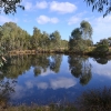 Zdjęcie z Australii - Wracam na rozlewiska strumienia Glenloth Creek